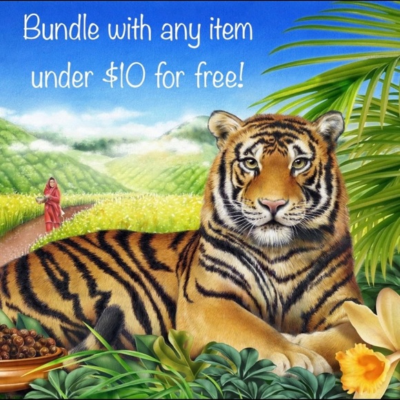 Asim Jofa Luxury Embroidered Chiffon in Pink - Picture 5 of 5